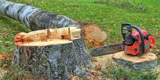 Best Tree Disease Treatment  in Lafayette, TN